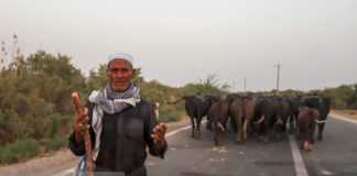 «آب معدنی» به چه کار خوزستان میآید؟