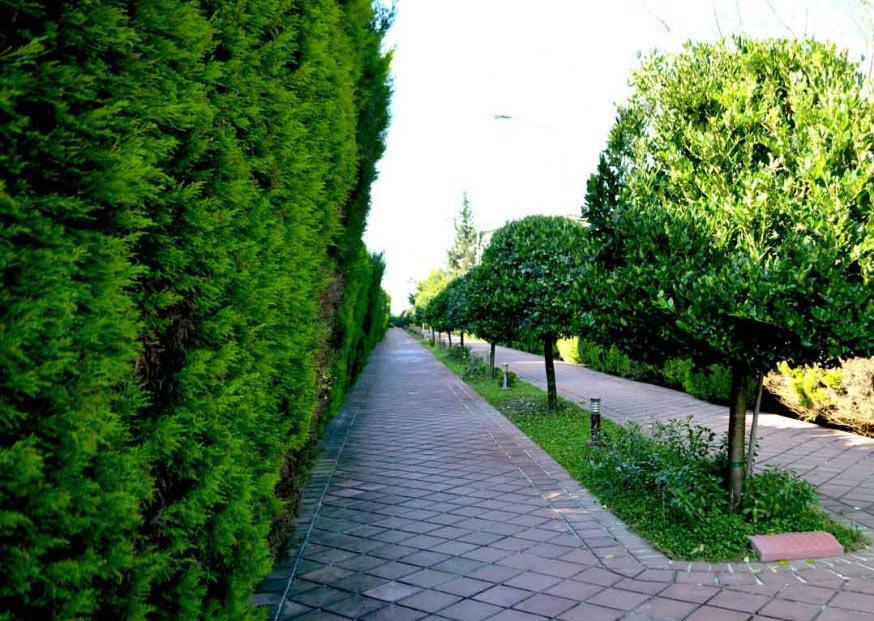 شهرک امیردشت 2